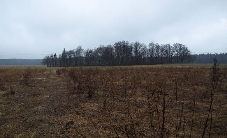 działka na sprzedaż - Syców (gw), Drołtowice