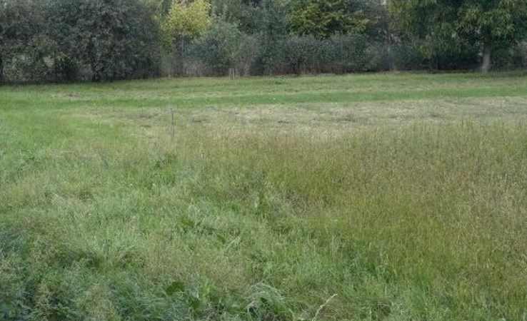 działka na sprzedaż - Wrocław, Krzyki, Wojszyce