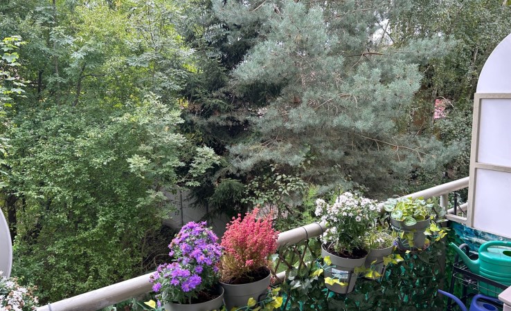 mieszkanie na sprzedaż - Wrocław, Krzyki, Jagodno